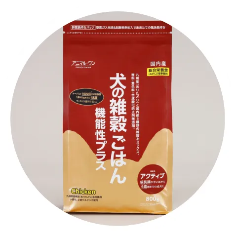 わんちゃんのごはん